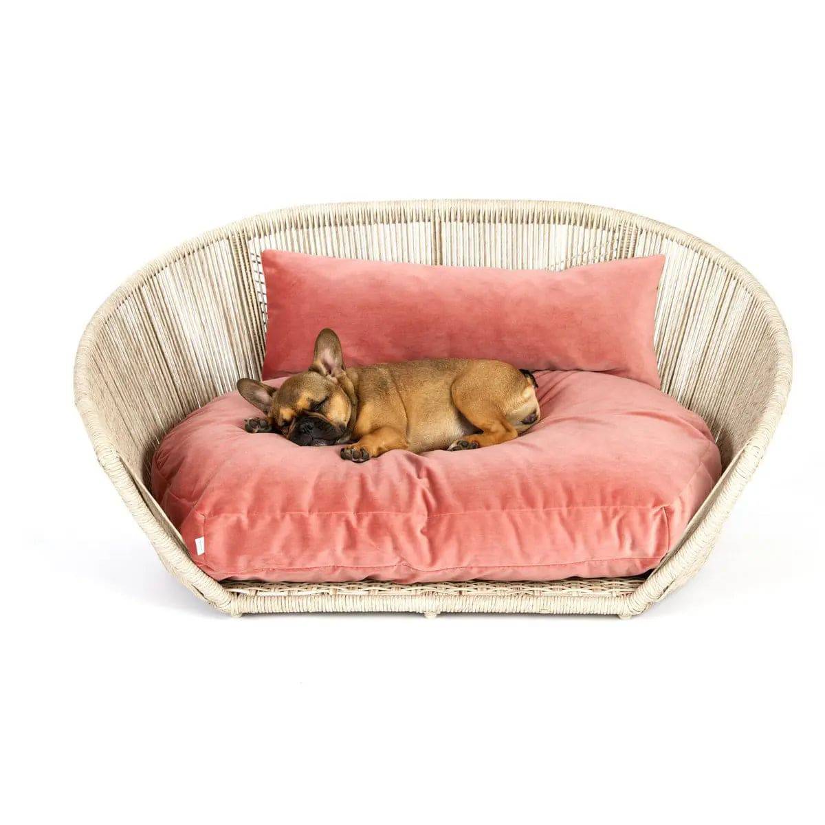 VOGUE - Design-Hundebett OXFORD LABONI