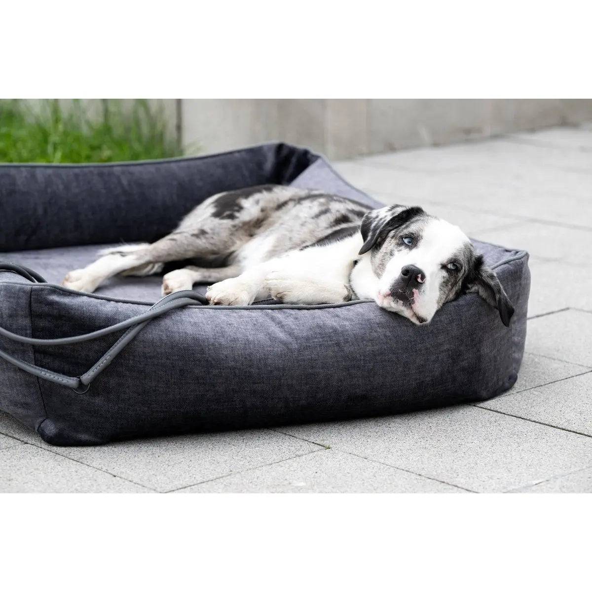 ORTHO Hundebett - GLAM GRAPHITE LABONI