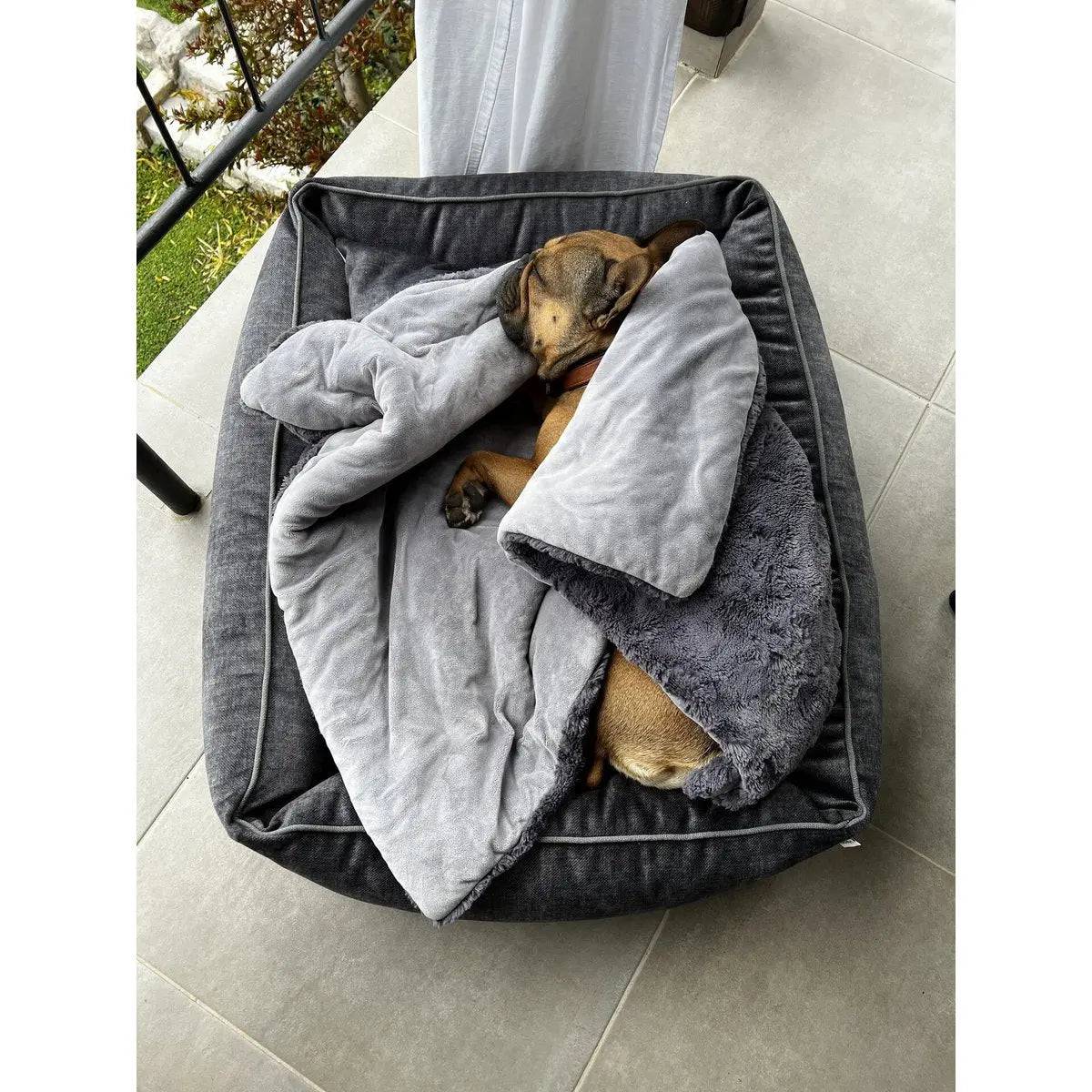 ORTHO Hundebett - GLAM GRAPHITE LABONI