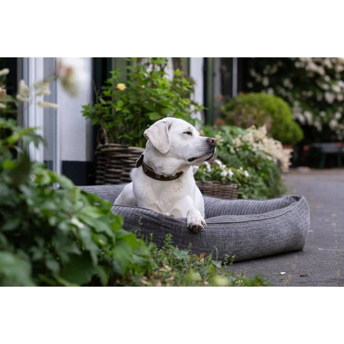 CLASSIC Hundebett - NOVA STONE LABONI