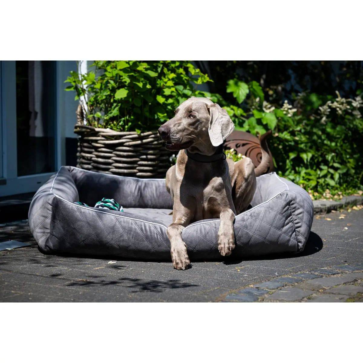 CLASSIC Hundebett - OXFORD STONE LABONI