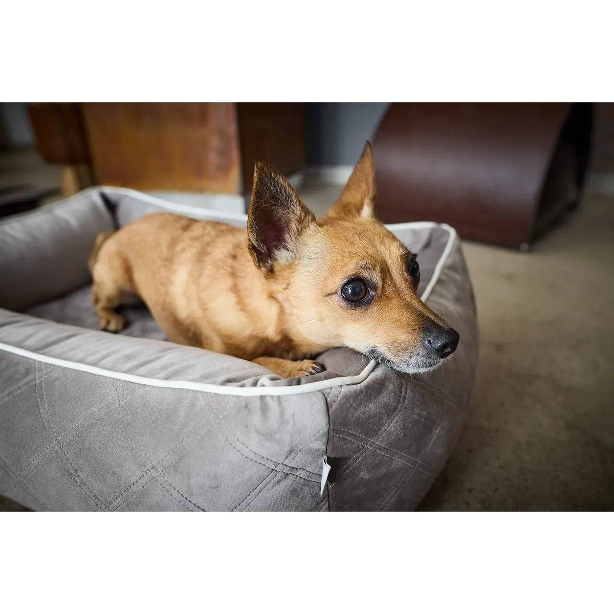 CLASSIC Hundebett - OXFORD TAUPE LABONI