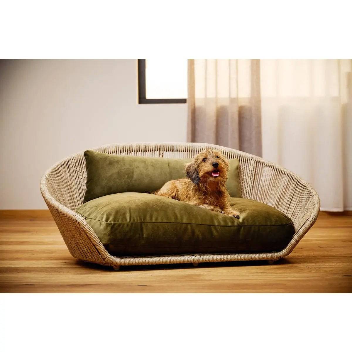 VOGUE - Design-Hundebett OXFORD LABONI