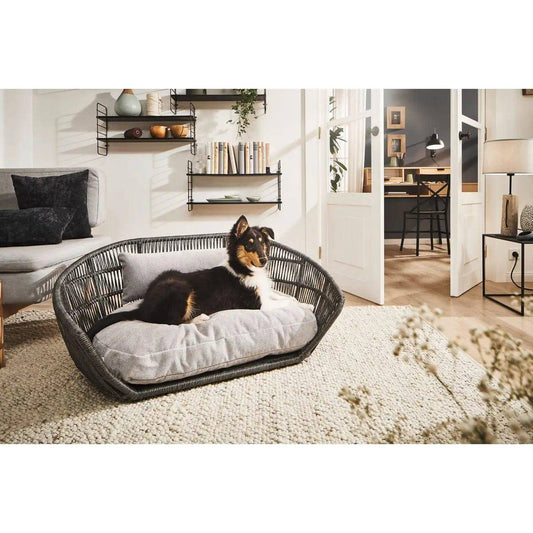 PRADO - Design-Hundebett TUDOR LABONI