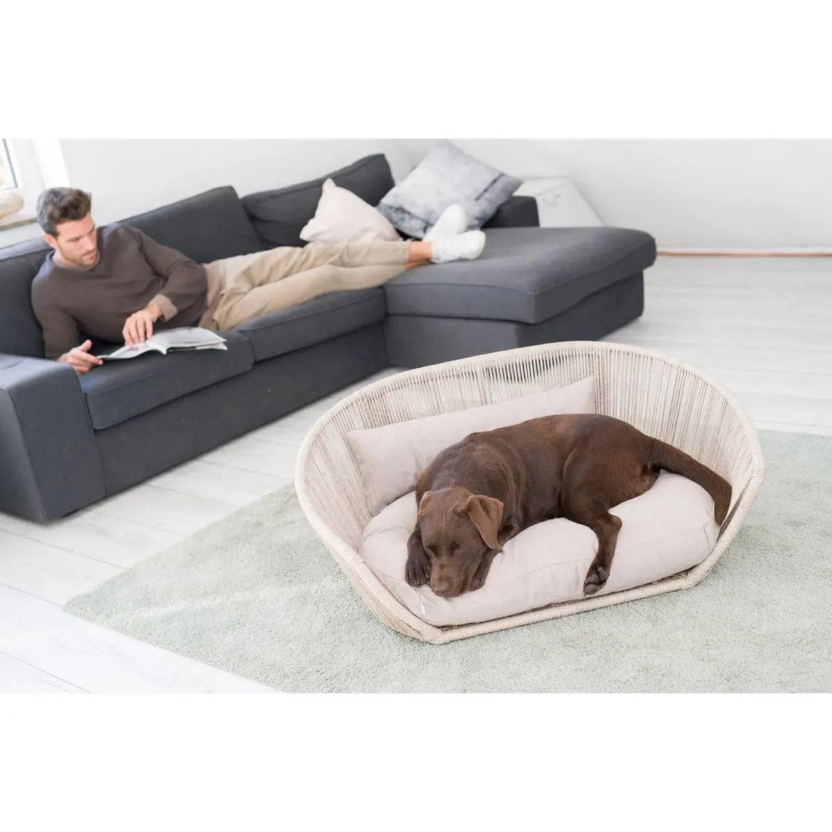 VOGUE - Design-Hundebett SMOOTH LABONI