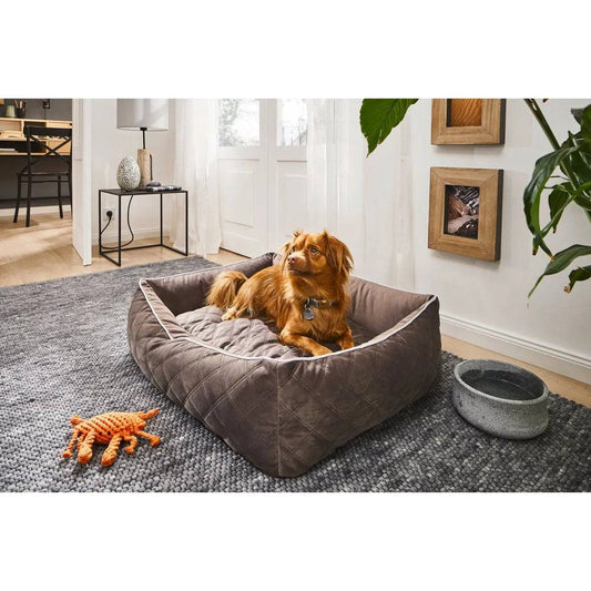 CLASSIC Hundebett - OXFORD STONE LABONI