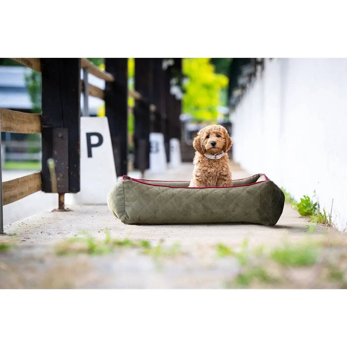 CLASSIC Hundebett - OXFORD OLIVE LABONI