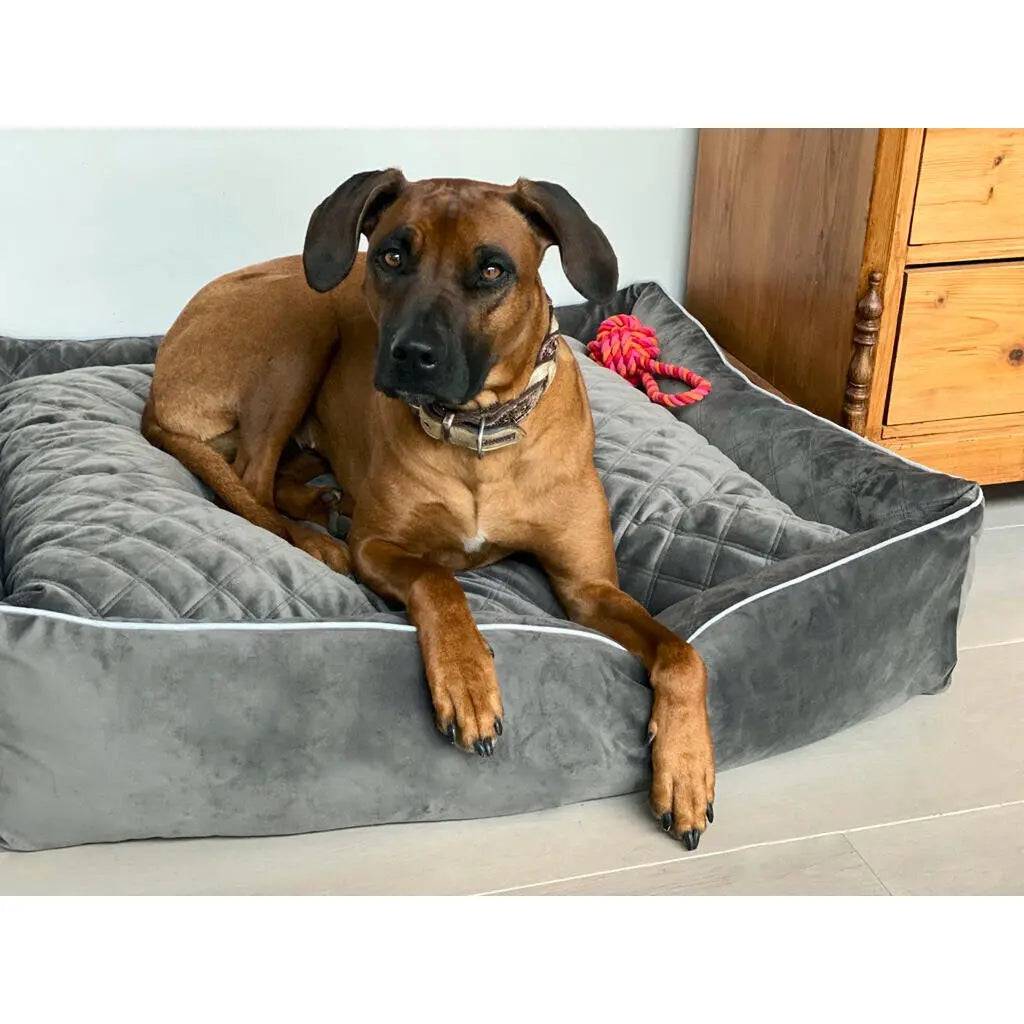 CLASSIC Hundebett - OXFORD STONE LABONI