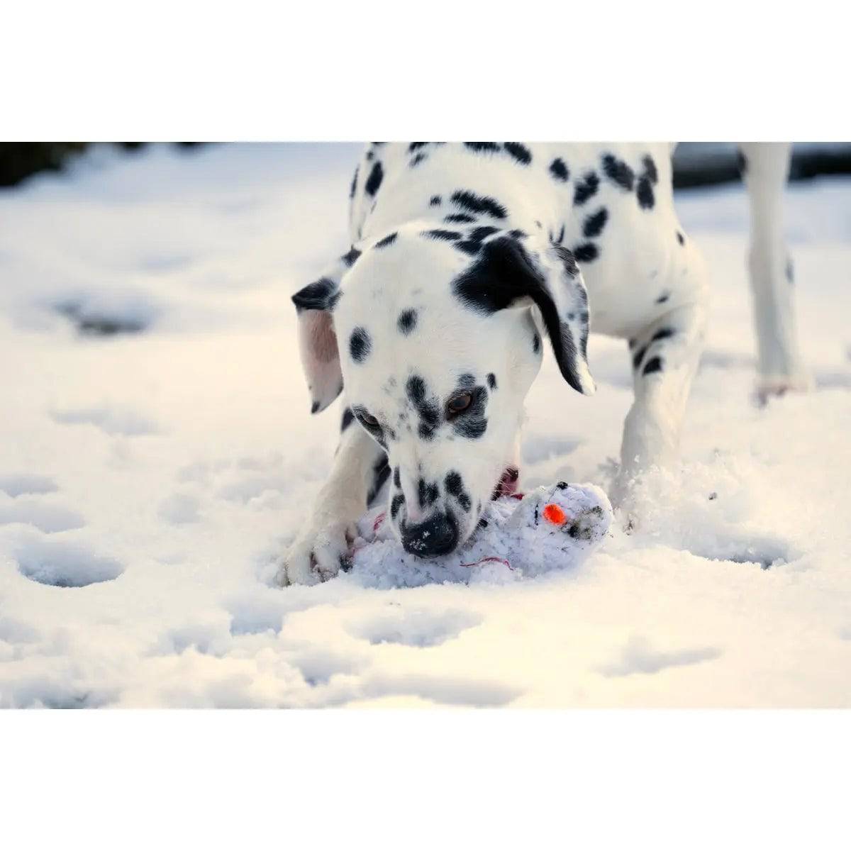 Shawn der Schneemann - Kult-Spielzeug für Hunde LABONI