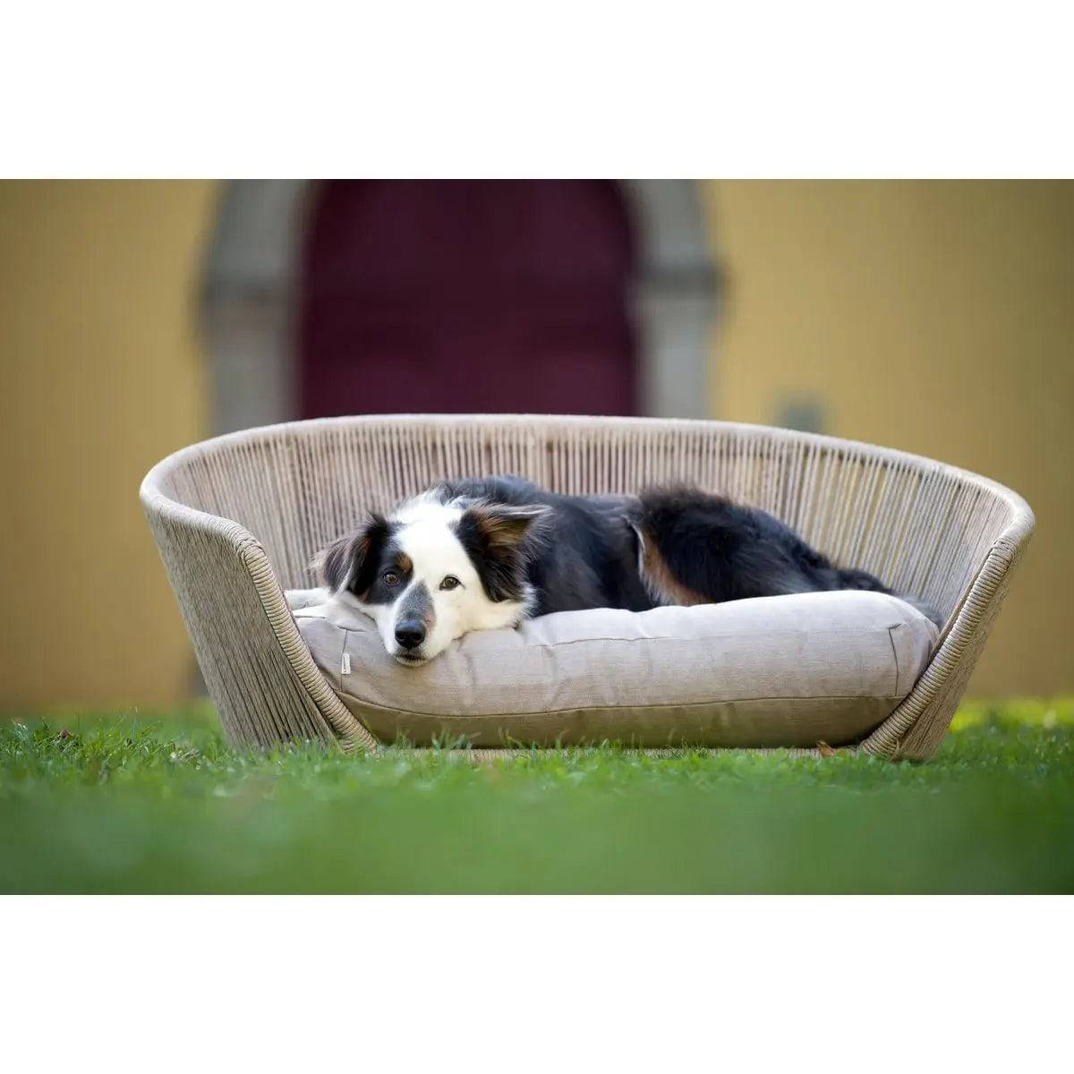 VOGUE - Design-Hundebett SMOOTH LABONI