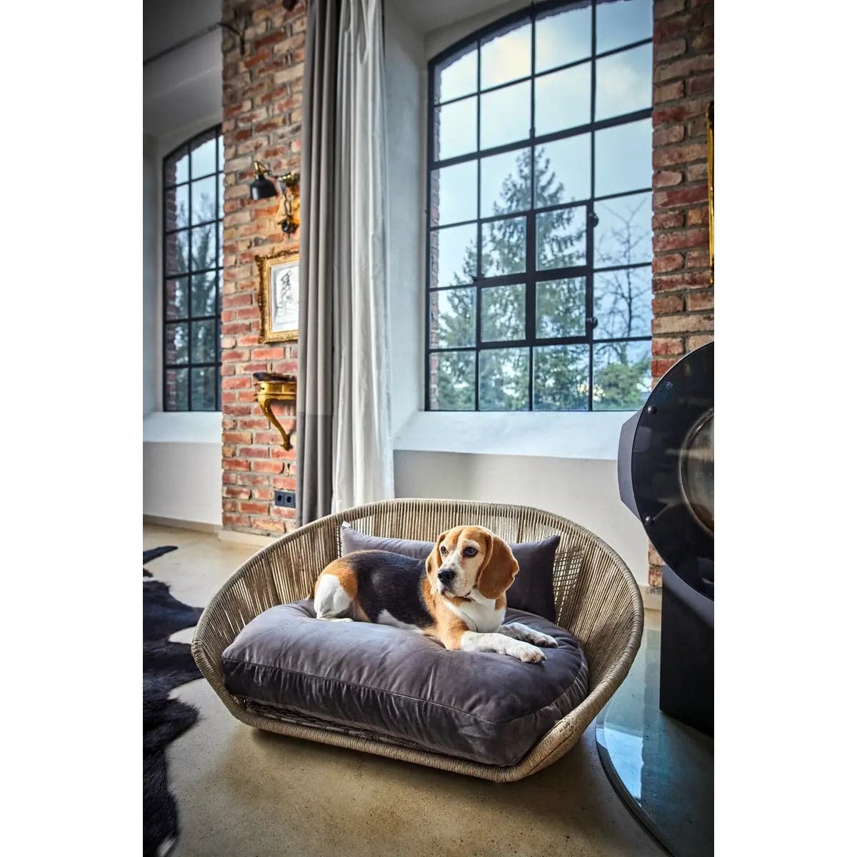 VOGUE - Design-Hundebett OXFORD LABONI