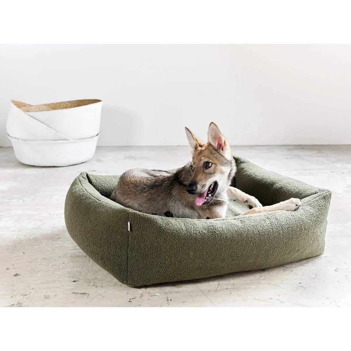 CLASSIC Hundebett - TEDDY GREEN LABONI