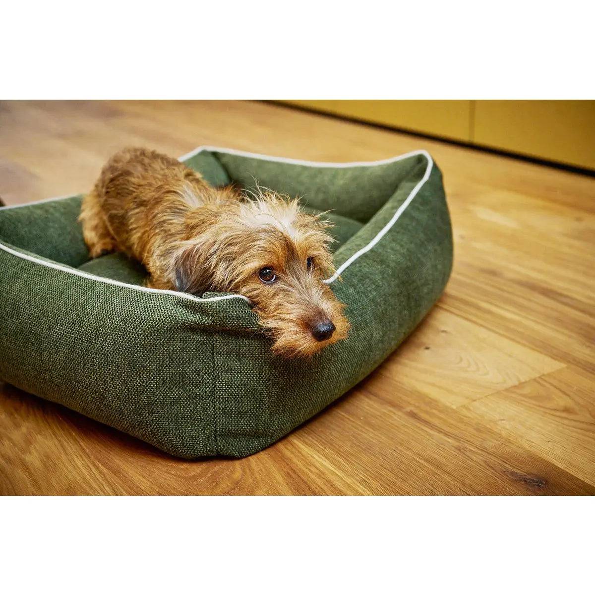 CLASSIC Hundebett - ECO GREEN LABONI