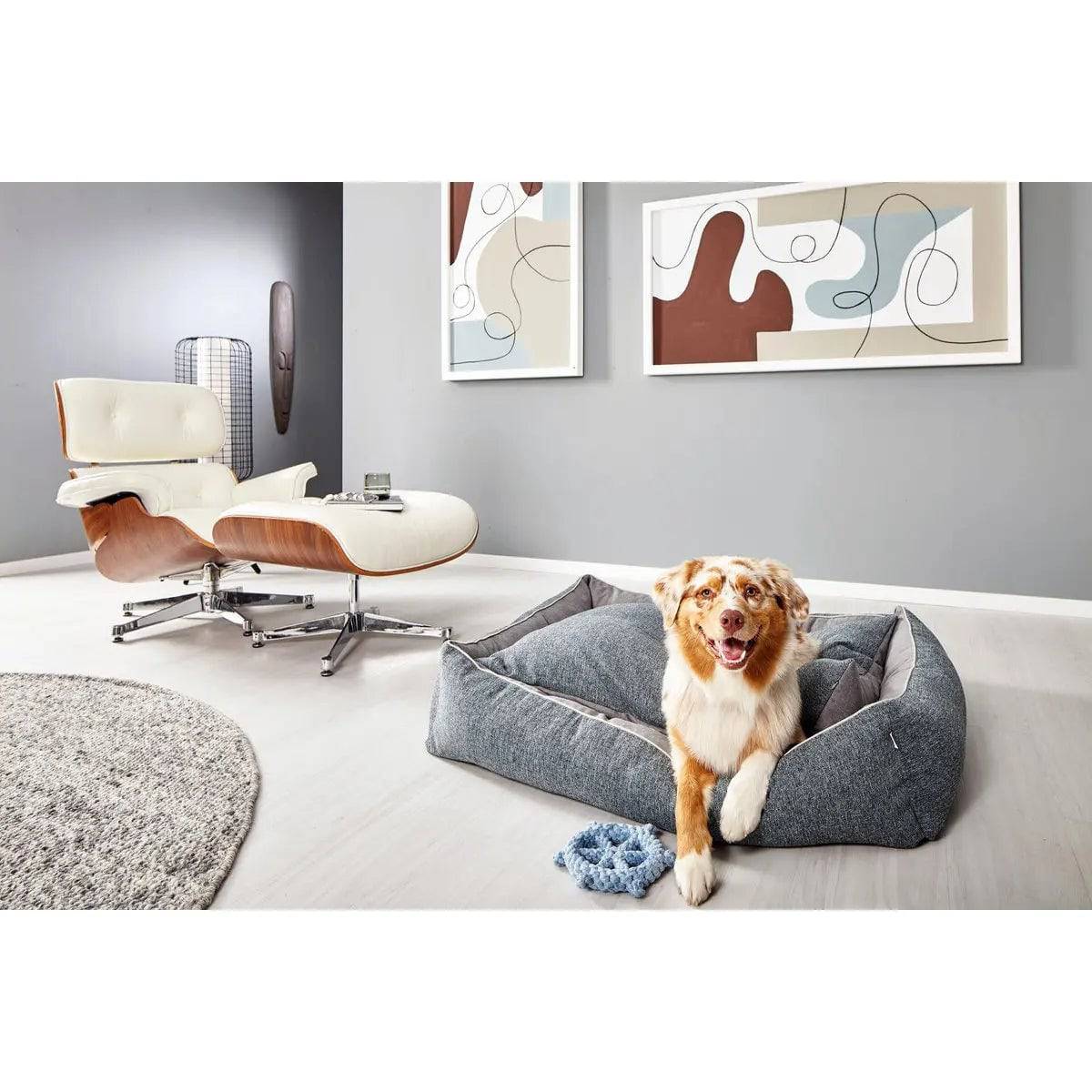 CLASSIC Hundebett - SCALA DENIM LABONI