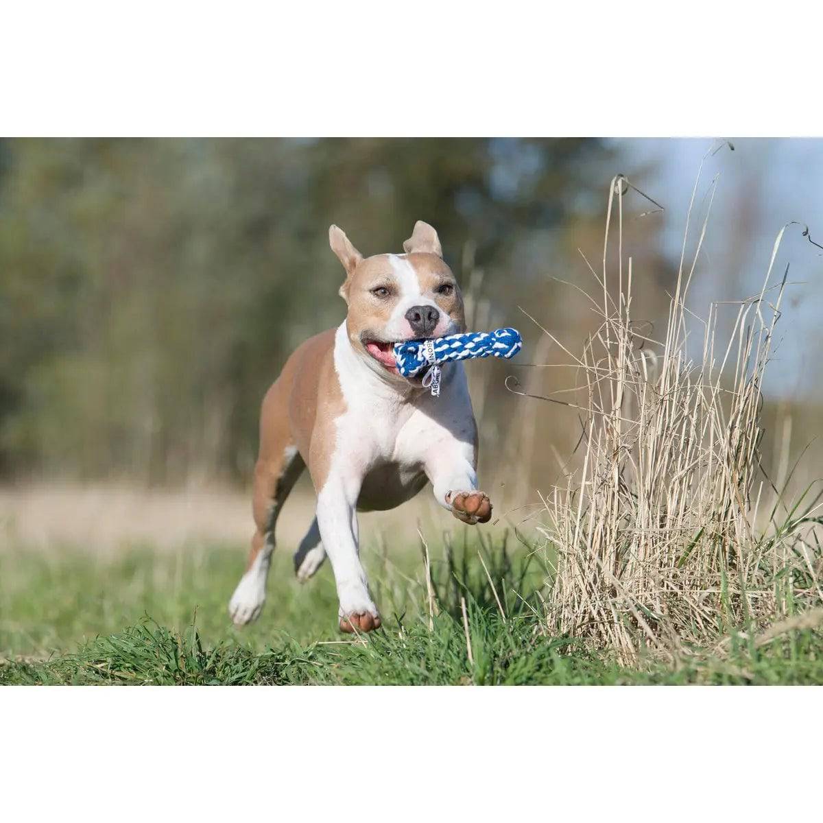 Bonnie Bone - Kult-Spielzeug für Hunde LABONI