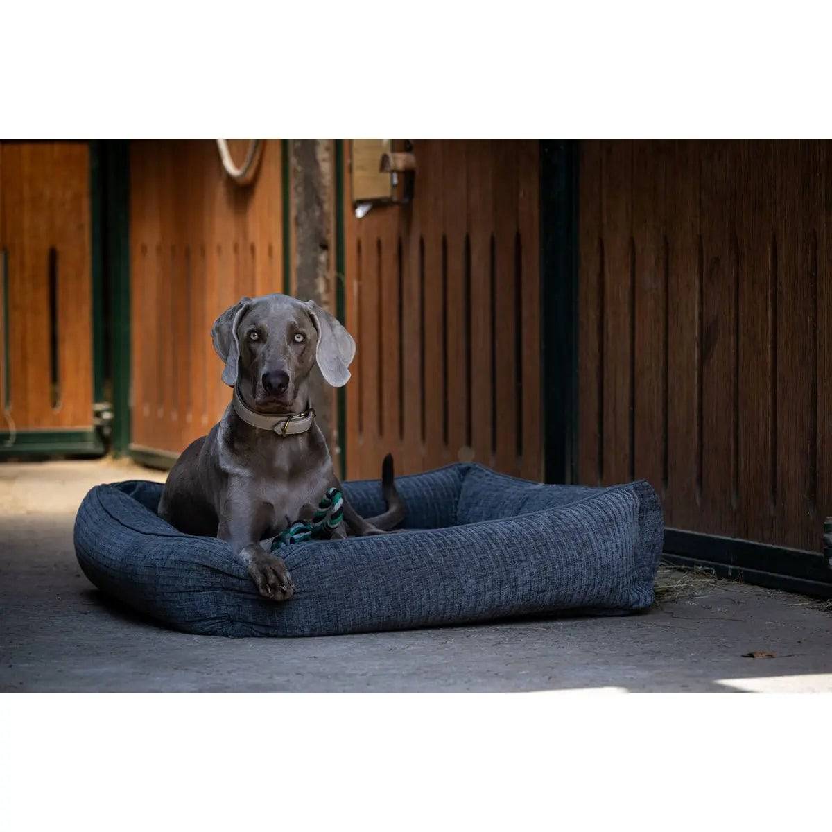 CLASSIC Hundebett - NOVA STONE LABONI