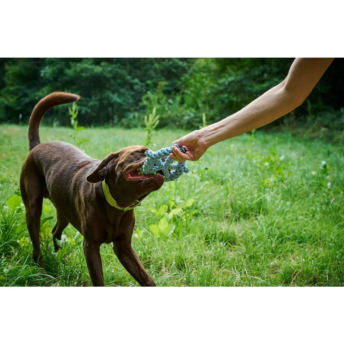 Monsieur LABONI - Spielzeug-Set für Hunde LABONI