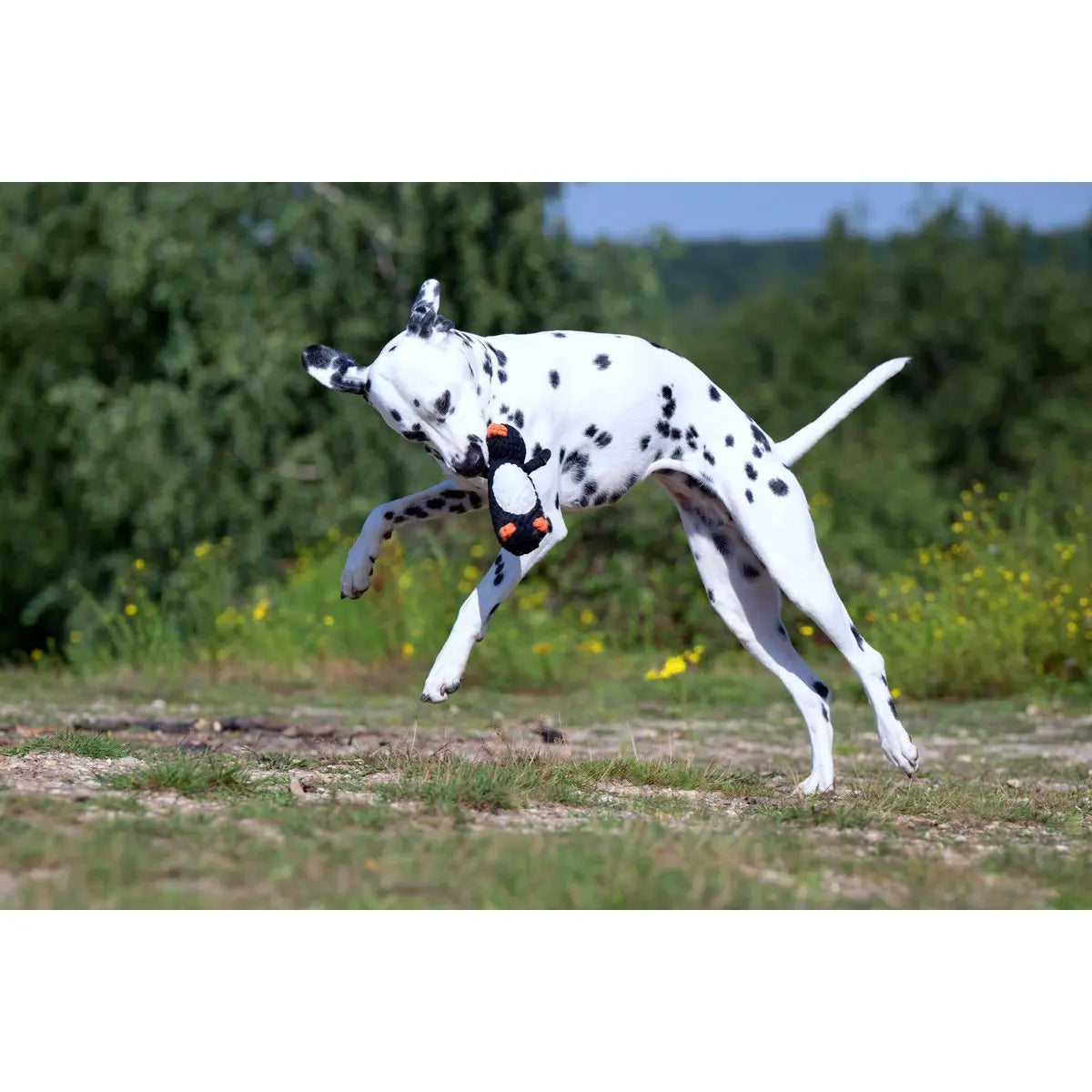 Poldi Pinguin - Kult-Spielzeug für Hunde LABONI