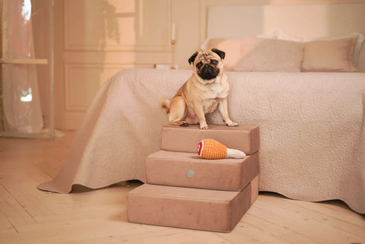 TETRIS Double Hundestufen aus Möbelvelour / Haustiertreppe für kleine Hunde HARLEY & CHO