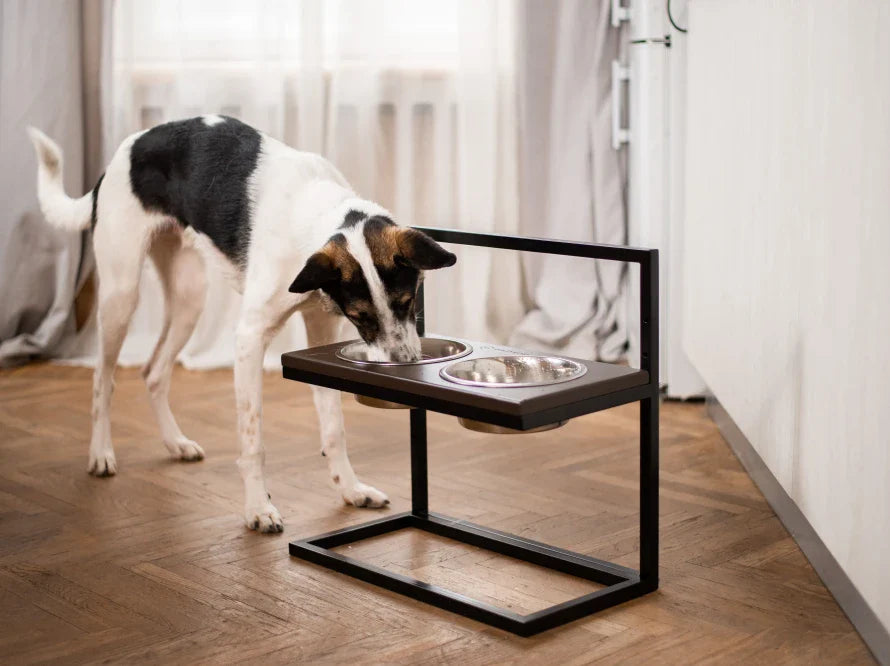 Höhenverstellbaren Hundenapf LIFT / Holz Napfständer mit zwei Edelstahlnäpfen für Hunde / schwarzer Metallrahmen HARLEY & CHO