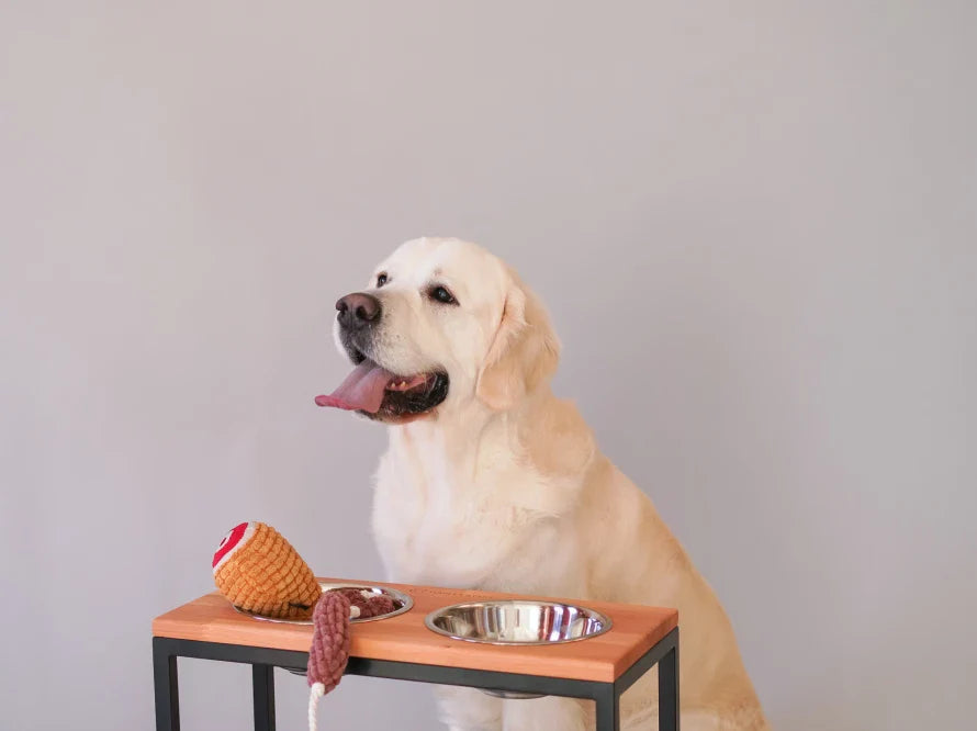 DINNER Hundenapf / Holz Napfständer mit zwei Edelstahlnäpfen für große und riesige Hunde / schwarzer Metallrahmen HARLEY & CHO