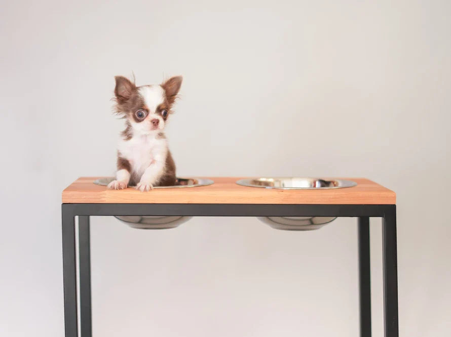 DINNER Hundenapf / Holz Napfständer mit zwei Edelstahlnäpfen für große und riesige Hunde / schwarzer Metallrahmen HARLEY & CHO