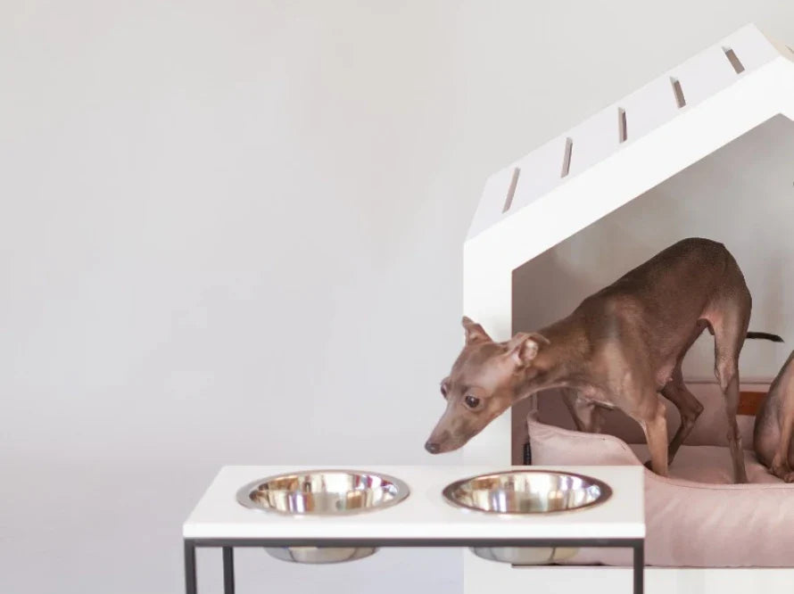 LUNCH BAR Hundenapf / Kunststein Napfständer mit zwei Edelstahlnäpfen für kleine Hunde / schwarzer Metallrahmen HARLEY & CHO