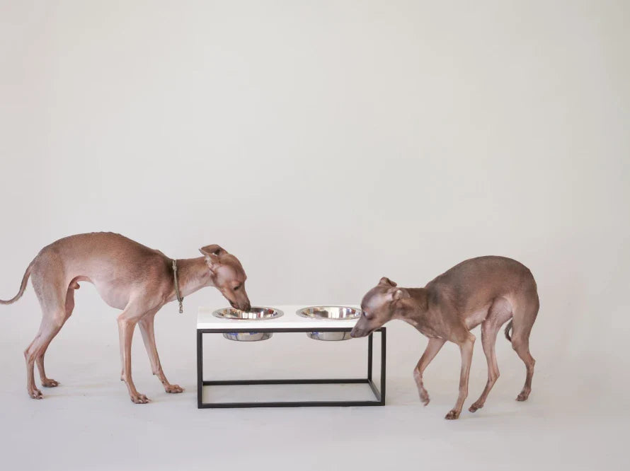 LUNCH BAR Hundenapf / Kunststein Napfständer mit zwei Edelstahlnäpfen für kleine Hunde / schwarzer Metallrahmen HARLEY & CHO