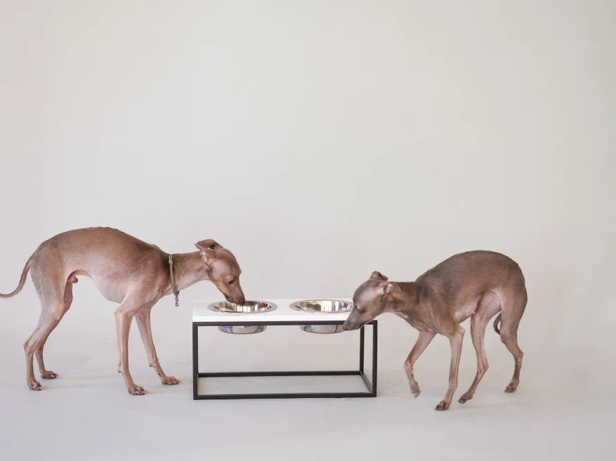 DINNER Hundenapf / Kunststein Napfständer mit zwei Edelstahlnäpfen für große und riesige Hunde / schwarzer Metallrahmen HARLEY & CHO