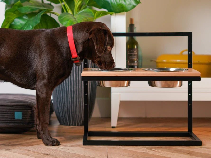Höhenverstellbaren Hundenapf LIFT / Holz Napfständer mit zwei Edelstahlnäpfen für Hunde / schwarzer Metallrahmen HARLEY & CHO
