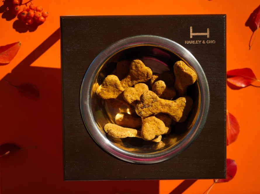 LUNCH BAR Hundenapf / Holz Napfständer mit einzelnem Edelstahlnapf für kleine Hunde / schwarzer Metallrahmen HARLEY & CHO