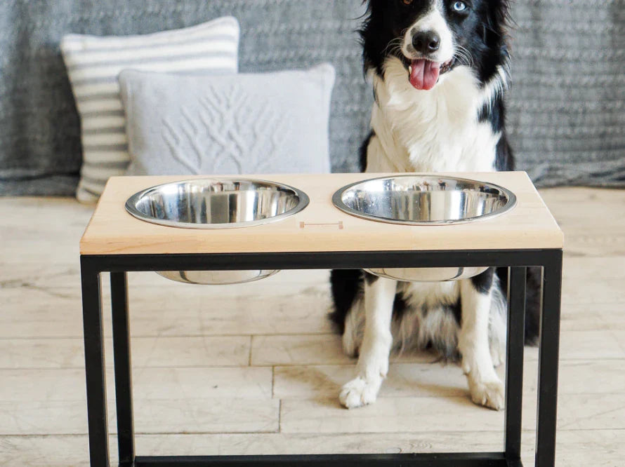 DINNER Hundenapf / Holz Napfständer mit zwei Edelstahlnäpfen für große und riesige Hunde / schwarzer Metallrahmen HARLEY & CHO
