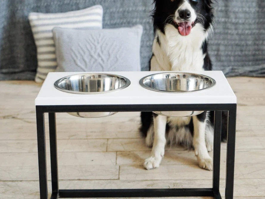 DINNER Hundenapf / Kunststein Napfständer mit zwei Edelstahlnäpfen für große und riesige Hunde / schwarzer Metallrahmen HARLEY & CHO