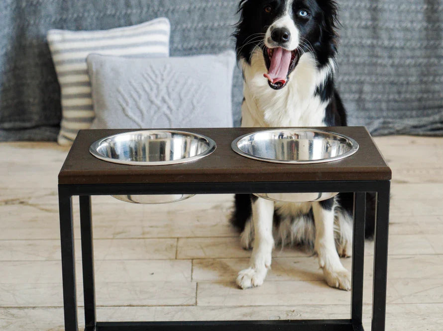 DINNER Hundenapf / Holz Napfständer mit zwei Edelstahlnäpfen für große und riesige Hunde / schwarzer Metallrahmen HARLEY & CHO