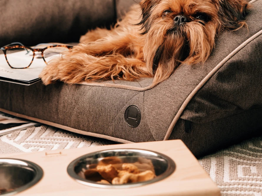 LUNCH BAR Hundenapf / Holz Napfständer mit zwei Edelstahlnäpfen für kleine Hunde / weißer Metallrahmen HARLEY & CHO