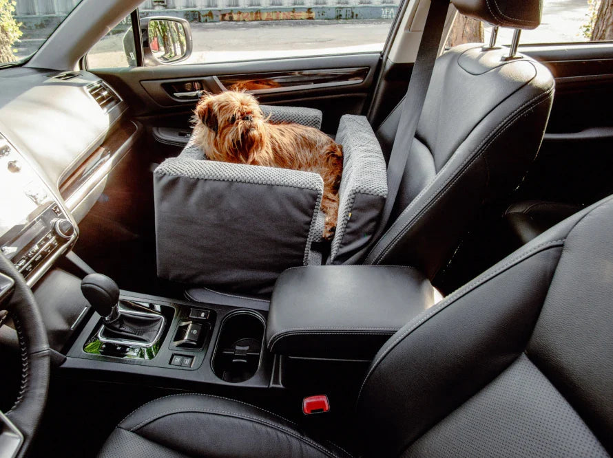 DISCOVERY Hundeautositz / der Hund wird mit einer Leine im Sitz fixiert HARLEY & CHO