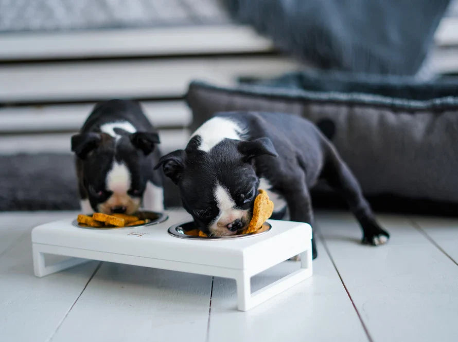 LUNCH BAR Hundenapf / Holz Napfständer mit zwei Edelstahlnäpfen für kleine Hunde / weißer Metallrahmen HARLEY & CHO