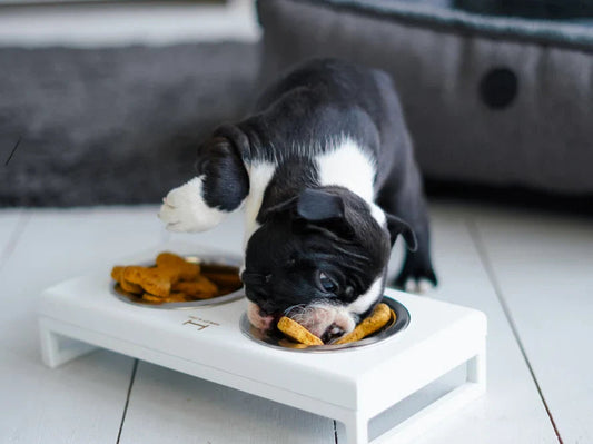 LUNCH BAR Hundenapf / Holz Napfständer mit zwei Edelstahlnäpfen für kleine Hunde / weißer Metallrahmen HARLEY & CHO