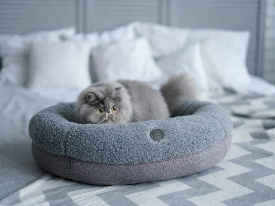BAGEL FUR Katzenbett aus Kunstfell / Möbelstoff HARLEY & CHO