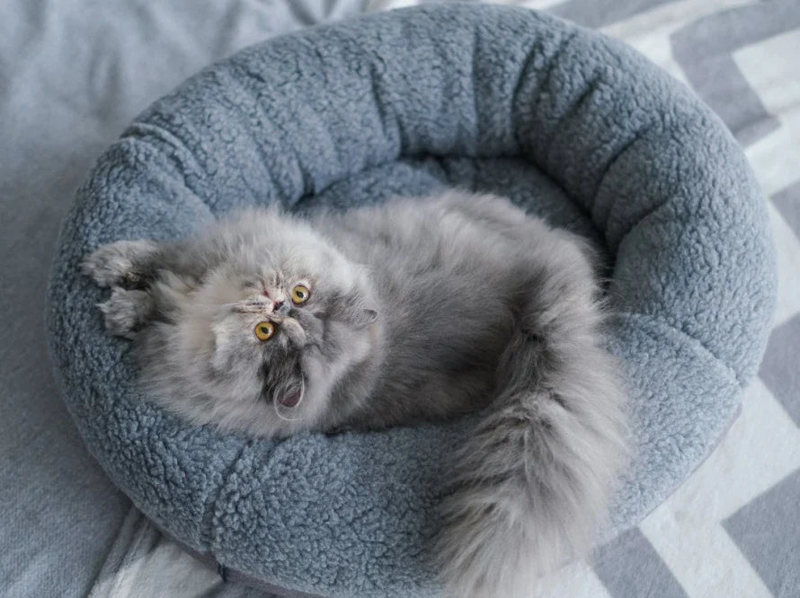 BAGEL FUR Katzenbett aus Kunstfell / Möbelstoff HARLEY & CHO
