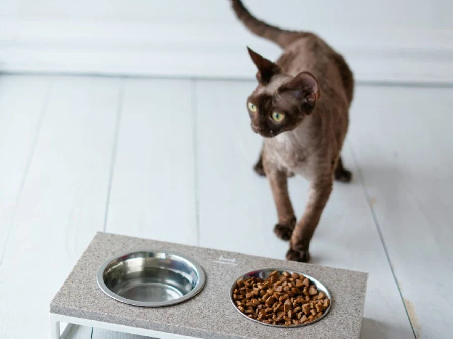 LUNCH BAR Katzennapf / Kunststein Napfständer mit zwei Edelstahlnäpfen für Katzen / weißer Metallrahmen HARLEY & CHO