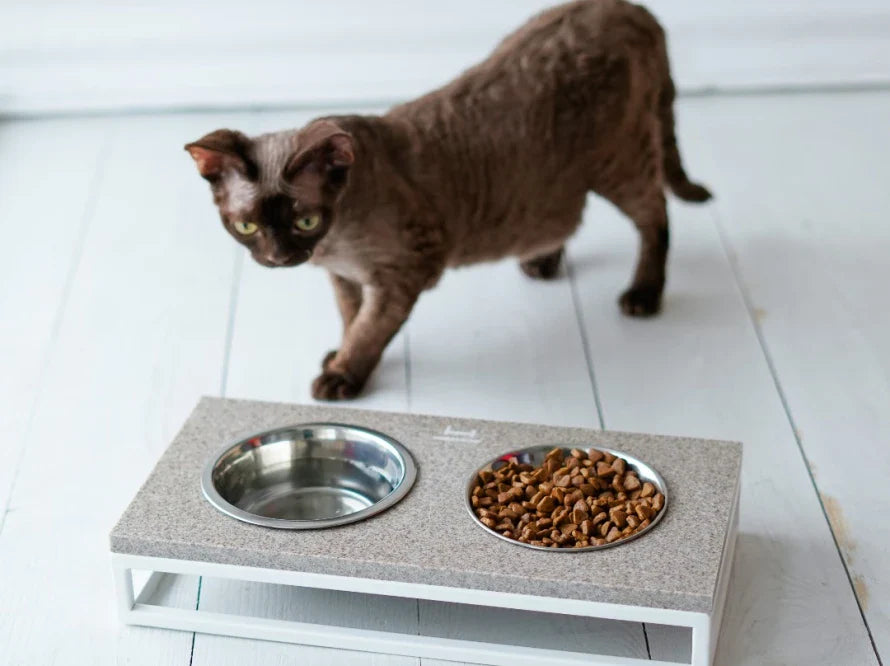 LUNCH BAR Katzennapf / Kunststein Napfständer mit zwei Edelstahlnäpfen für Katzen / weißer Metallrahmen HARLEY & CHO