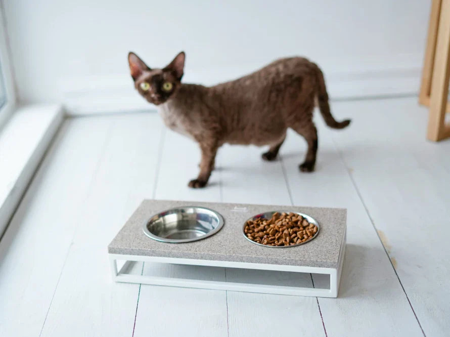 LUNCH BAR Katzennapf / Kunststein Napfständer mit zwei Edelstahlnäpfen für Katzen / weißer Metallrahmen HARLEY & CHO