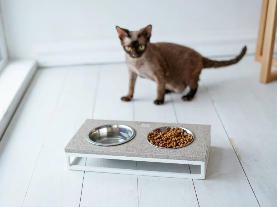LUNCH BAR Katzennapf / Kunststein Napfständer mit zwei Edelstahlnäpfen für Katzen / weißer Metallrahmen HARLEY & CHO