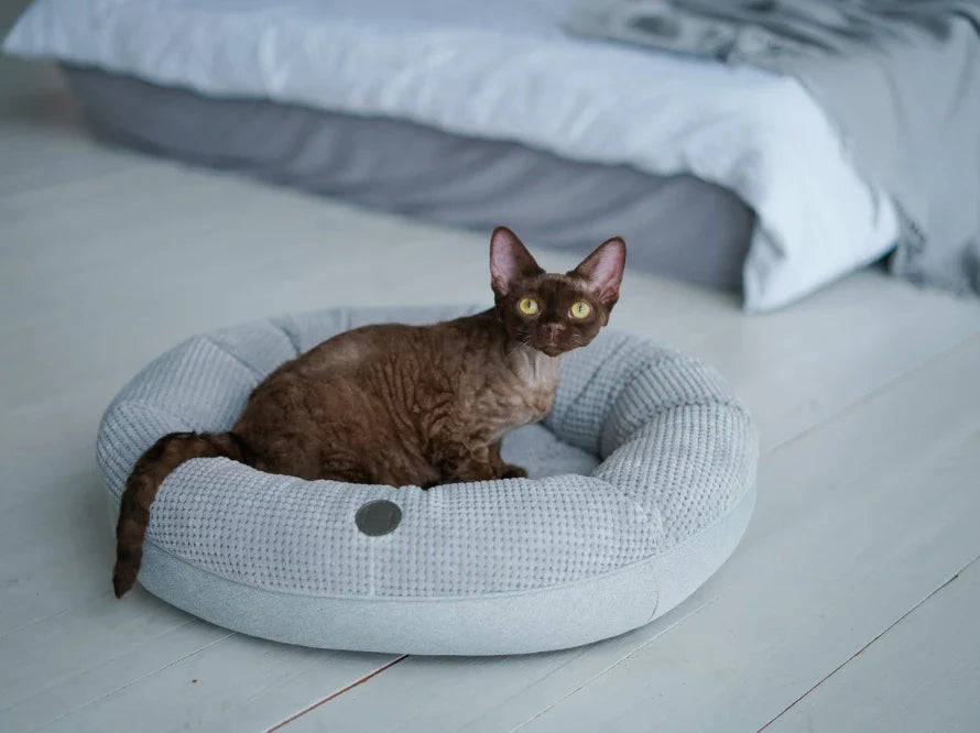 BAGEL Katzenbett aus Möbelcord HARLEY & CHO