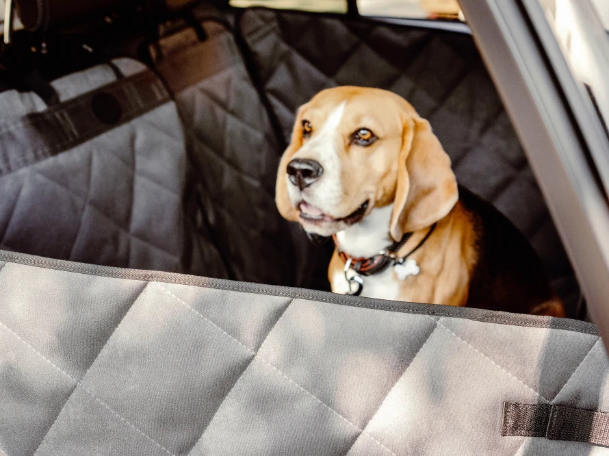 Auto-Hundehängematte Saver Grau - Transformer HARLEY & CHO