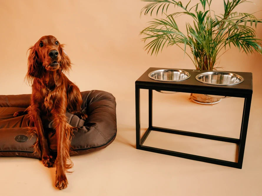 DINNER Hundenapf / Holz Napfständer mit zwei Edelstahlnäpfen für große und riesige Hunde / schwarzer Metallrahmen HARLEY & CHO