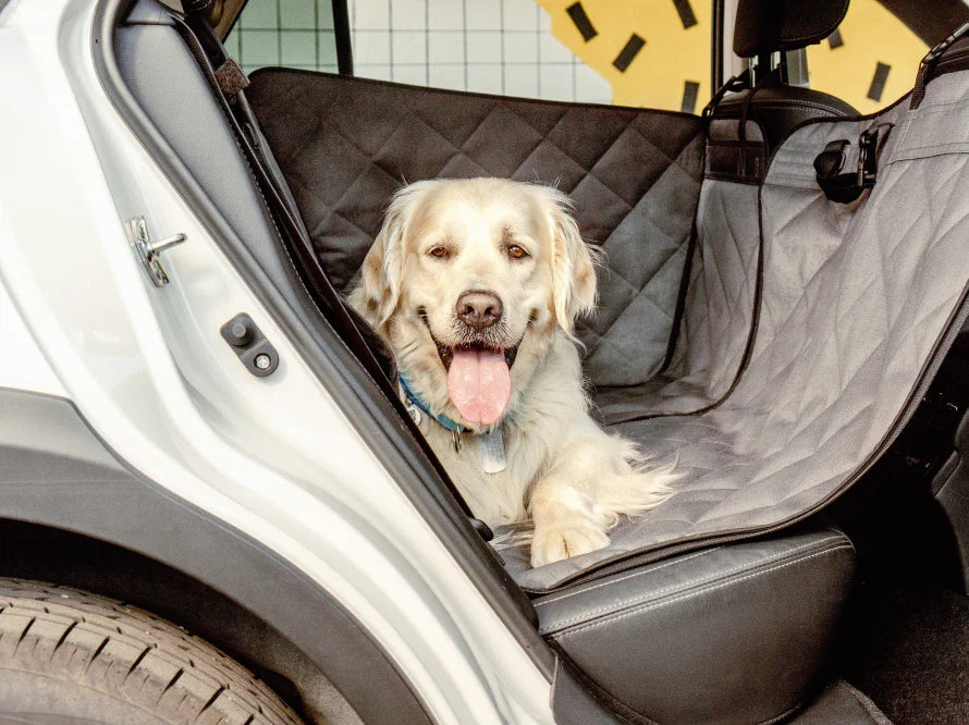 Auto-Hundehängematte Saver Grau - Transformer HARLEY & CHO