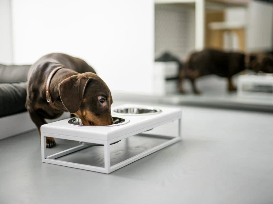 LUNCH BAR Hundenapf / Holz Napfständer mit zwei Edelstahlnäpfen für kleine Hunde / weißer Metallrahmen HARLEY & CHO
