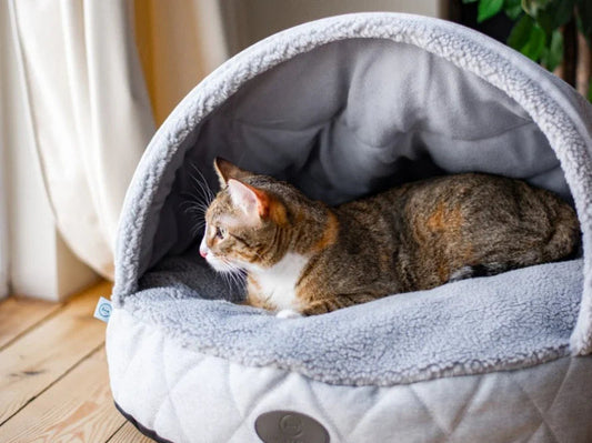 COVER Katzenhöhle aus Kunstfell und Möbelvelour / orthöpedisches Katzenbett / Memory Foam / Handgefertigt HARLEY & CHO